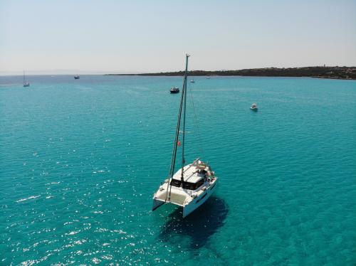 Mare turchese dell'Asinara e catamarano durante tour giornaliero con pranzo a bordo