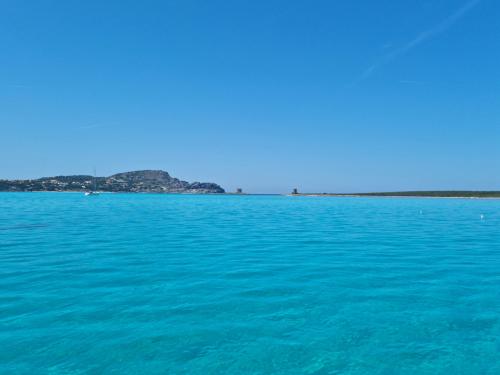 Mare cristallino dell'isola dell'Asinara