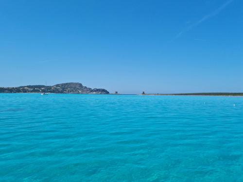 <p>Mar cristalino de la isla de Asinara</p><p><br></p>