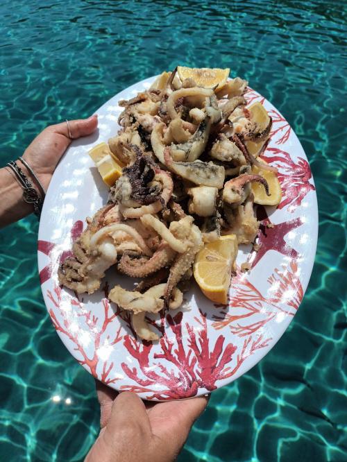 Fried squid dish in the Gulf of Asinara