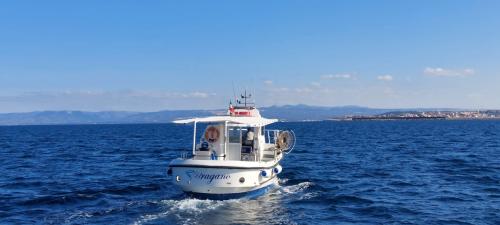 Navigazione verso l'Asinara di una barca con tour giornaliero e dimostrazione di pesca