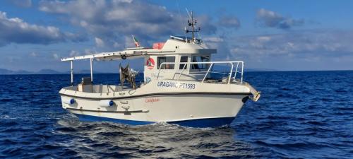 <p>Navegación a Asinara de un barco con tour diario y demostración de pesca</p><p><br></p>