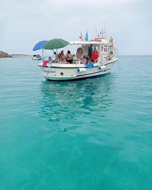 Barca nel mare blu del Golfo dell'Asinara con dimostrazione di pesca