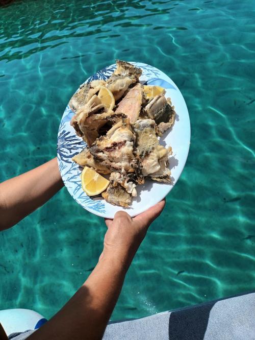 <p>Calamar frito servido para el almuerzo en barco en el Golfo de Asinara</p><p><br></p>