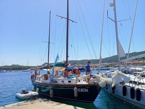 Barca a vela nel porto di Palau