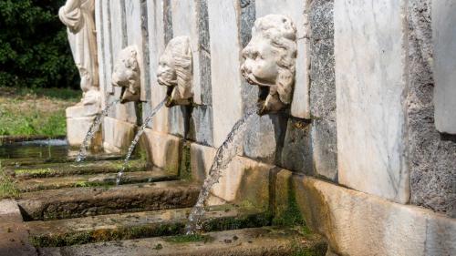 Particolare della Fontana di Rosello