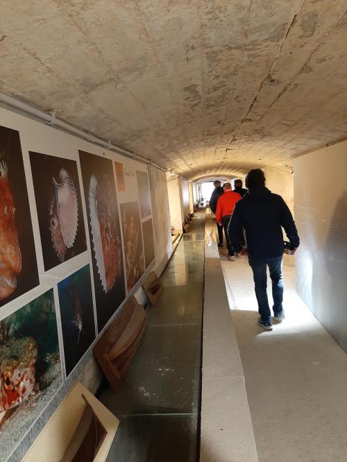 galleries of EMA EcoMuseum of the Sea and Water in Sassari