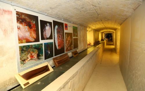 galleries of EMA EcoMuseum of the Sea and Water in Sassari