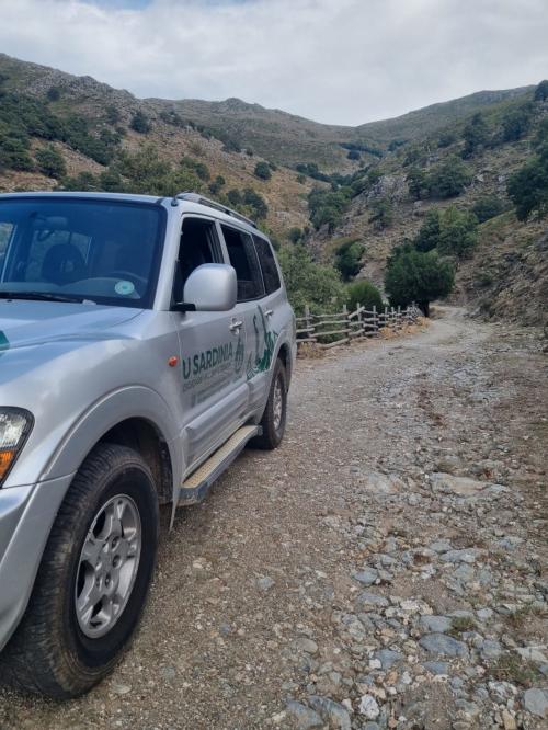 <p>Off-road in Barbagia during a full day tour with guide</p><p><br></p>