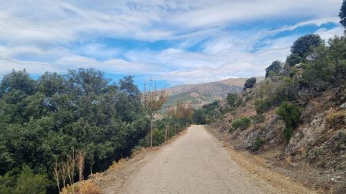 Carretera en Barbagia