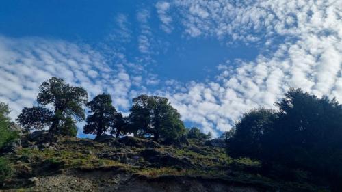 Naturaleza en Barbagia