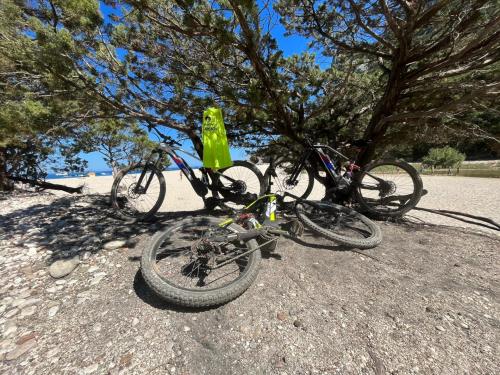 Noleggio biciclette elettriche per andare alla scoperta dell'Ogliastra nella Sardegna centro orientale