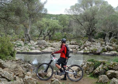 <p>Hikers by bike during rental in the territory of Arbatax</p><p><br></p>