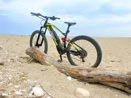 <p>E-Bike am Strand im Golf von Orosei während einer geführten Tour mit Stopp in Cala Sisine</p><p><br></p>