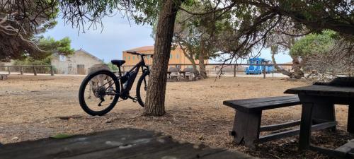 Bicicletas eléctricas en el Parque Nacional de la Asinara