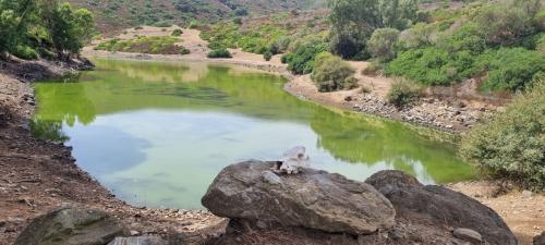 Vías fluviales en el Parque Nacional de la Asinara