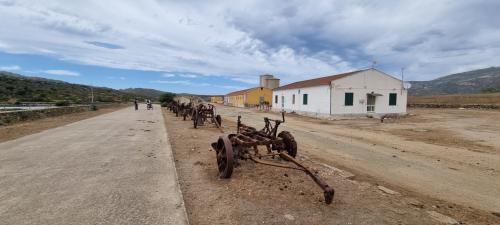 Parco Nazionale dell'Asinara aratro antico