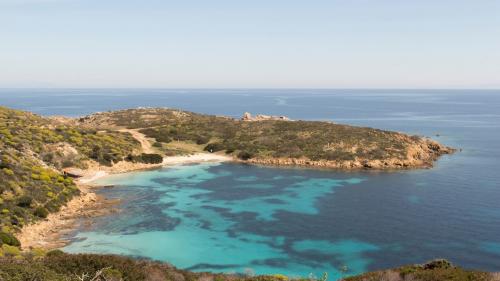 Resumen de las calas de la isla de Asinara