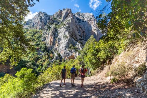 <p>Gruppe von Wanderern auf dem Weg zum Gorropu Canyon</p><p><br></p>