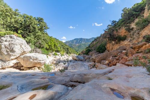 <p>Große weiße Felsbrocken auf dem Weg zur Entdeckung der größten Schlucht Europas, der Schlucht von Gorropu</p><p><br></p>