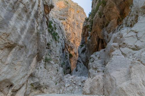 <p>Führung durch den Gorropu Canyon</p><p><br></p>