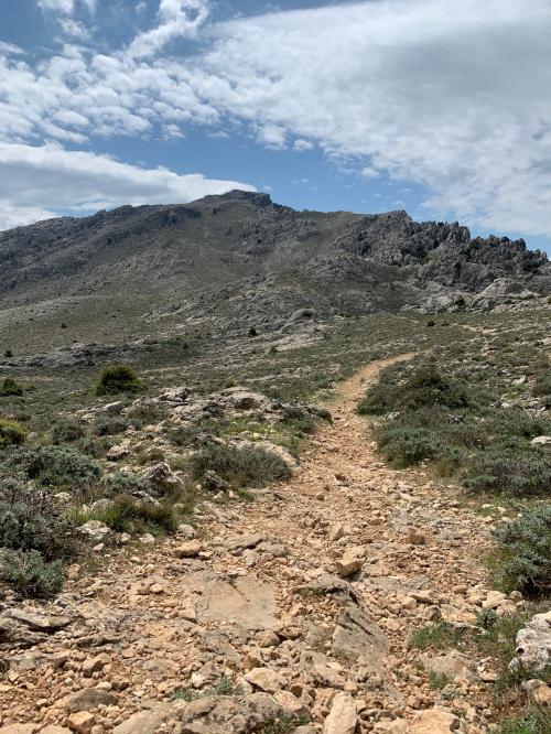 <p>Excursión en el Monte Corrasi con guía</p><p><br></p>