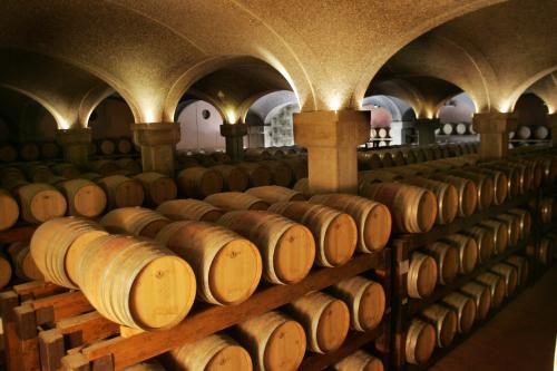 <p>Barriques de vin de la cave Argiolas</p><p><br></p>