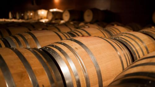 <p>Barriques de vin de la cave Argiolas</p><p><br></p>