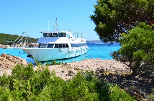 Motorschiff an der Küste des La Maddalena Archipels