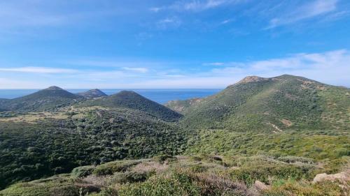 Paesaggio collinare nella costa ovest nei pressi di Bosa