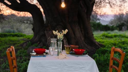 Gedeckter Tisch unter einem weltlichen Baum für ein romantisches Erlebnis
