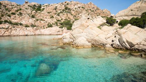 Eau cristalline à Caprera pour la plongée en apnée pendant les excursions en bateau