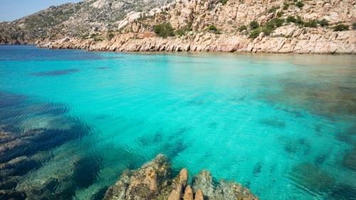 Mer turquoise pour la plongée en apnée pendant les excursions en bateau à Caprera