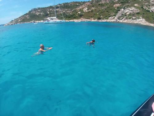 Schwimmen während des Bootsausflugs zwischen den Inseln Tavolara und Molara