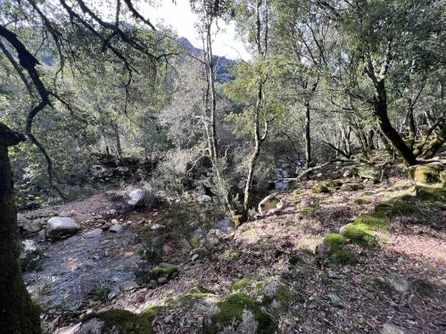 Staatlicher Wald von Monti Mannu zwischen Villacidro und Domusnovas, Tal des Rio Oridda