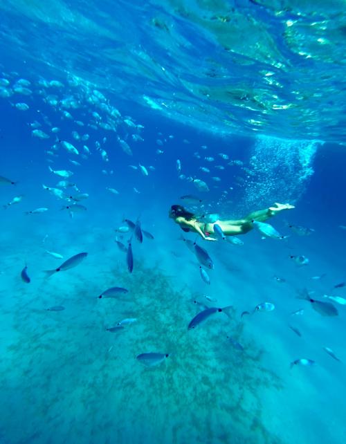 ragazza fa snorkeling in mezzo ai pesci nelle acque azzurre del Golfo di Cagliari