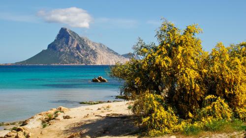 <p>Island of Tavolara with turquoise and crystal clear sea during a stop with boat tour and skipper</p><p><br></p>