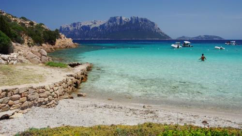 <p>Insel Tavolara mit türkisfarbenem und kristallklarem Meer während eines Stopps mit Bootstour und Skipper</p><p><br></p>