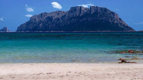 <p>Strand mit blauem Meer vor Tavolara</p><p><br></p>