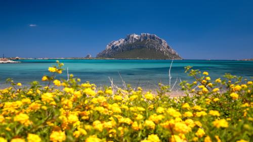 <p>Strand mit weißem Sand und türkisfarbenem Meer mit Blick auf die Insel Tavolara</p><p><br></p>