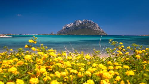 <p>Beach with white sand and turquoise sea overlooking the island of Tavolara</p><p><br></p>