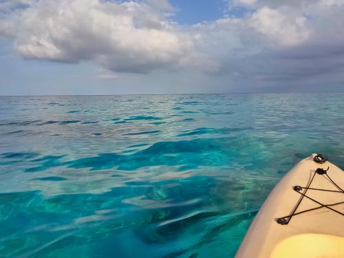 <p>Excursión en kayak para principiantes en la costa de Biderosa</p><p><br></p>