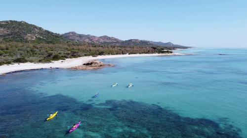 <p>Panoramic picture of the coast of Biderosa with kayak hikers paddling among clear waters for snorkeling</p><p><br></p>