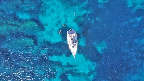 Segelboot in den kristallklaren Gewässern des Asinara Nationalparks Stintino