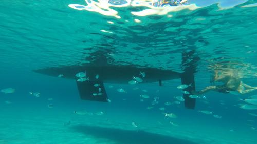 scafo barca a vela con pesci nelle acque limpide di Stintino Asinara Parco Nazionale 