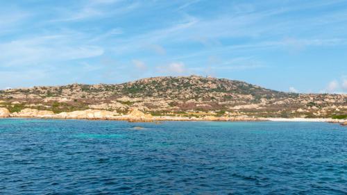 First stop off the coast of Punta Lunga in Asinara National Park