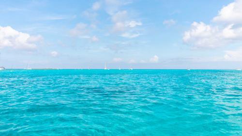 Blue water off La Pelosa beach