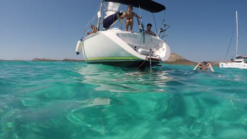 <p>Kindertauchen im kristallklaren Wasser des Golfs von Asinara von einem Segelboot während des täglichen Ausflugs</p><p><br></p>