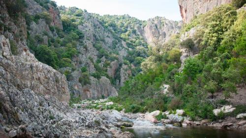 Panorama surrounding the Rio 'e Forrru river