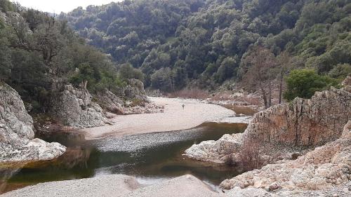 Panorama surrounding the river